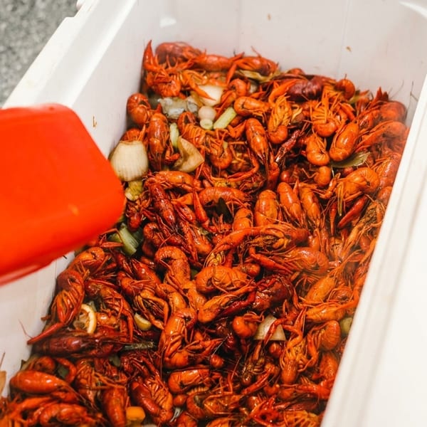 A person scoops a large quantity of cooked crawfish, seasoned with vegetables, from a white cooler.